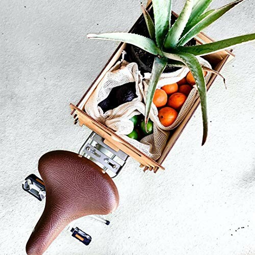 Bicycle with basket containing aloe plant and fruits.