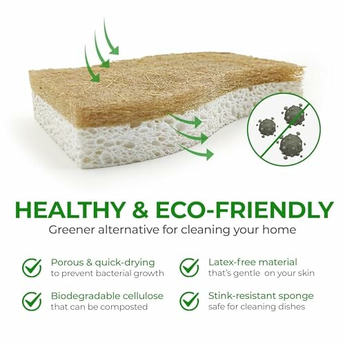 Eco-friendly sponge with features like porous, biodegradable, latex-free, stink-resistant.